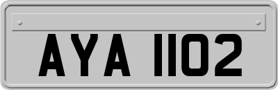 AYA1102