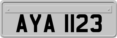 AYA1123