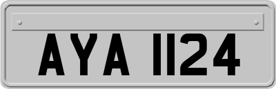 AYA1124