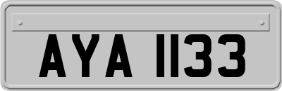 AYA1133