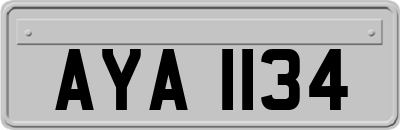 AYA1134