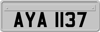 AYA1137