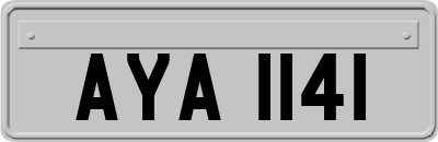 AYA1141