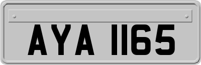 AYA1165