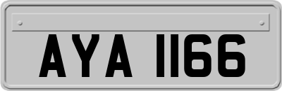 AYA1166
