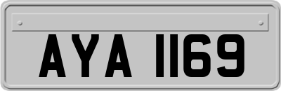 AYA1169