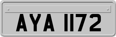 AYA1172