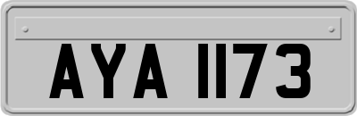 AYA1173
