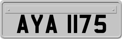 AYA1175