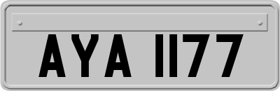 AYA1177