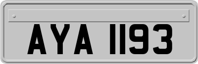 AYA1193