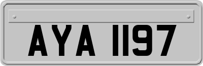 AYA1197