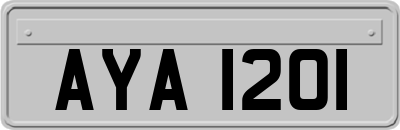AYA1201