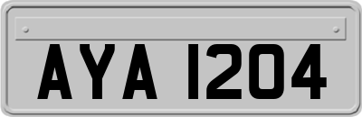 AYA1204
