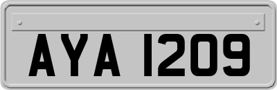 AYA1209