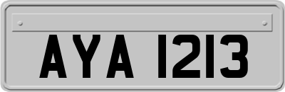 AYA1213