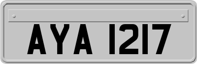AYA1217