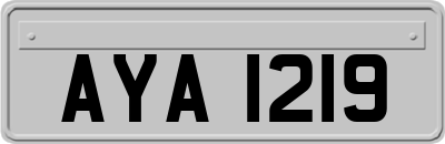 AYA1219