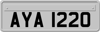 AYA1220