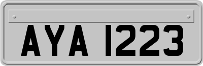 AYA1223