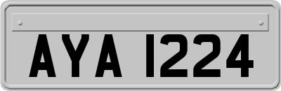 AYA1224