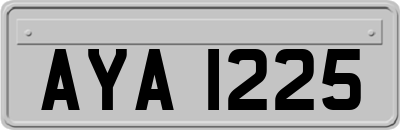 AYA1225