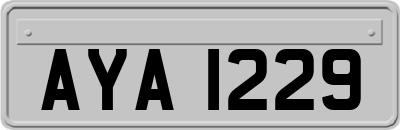 AYA1229