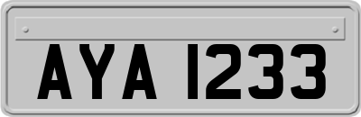 AYA1233