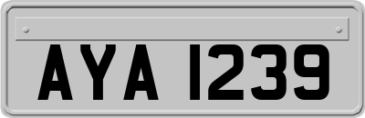 AYA1239