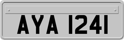 AYA1241