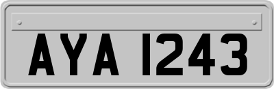 AYA1243