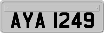AYA1249