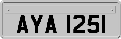 AYA1251