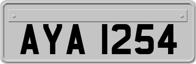 AYA1254