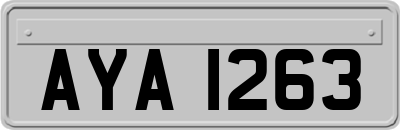 AYA1263