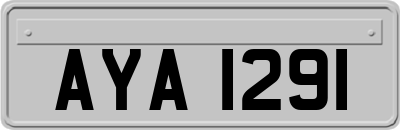 AYA1291