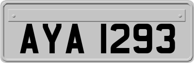 AYA1293