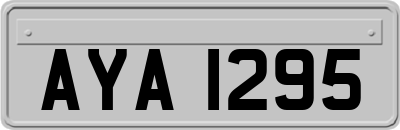 AYA1295