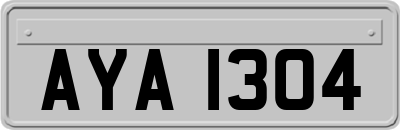 AYA1304