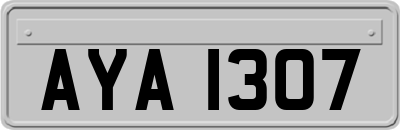 AYA1307