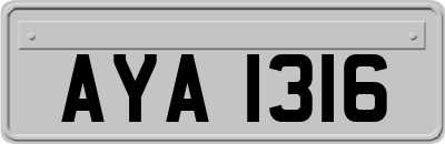 AYA1316