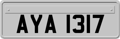 AYA1317