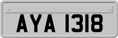 AYA1318