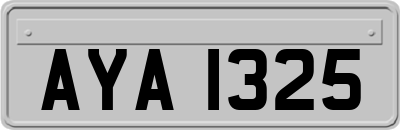 AYA1325