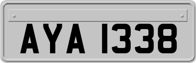 AYA1338