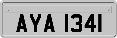 AYA1341