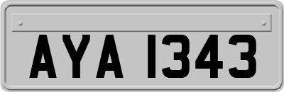 AYA1343