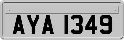 AYA1349