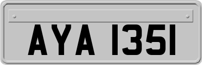 AYA1351