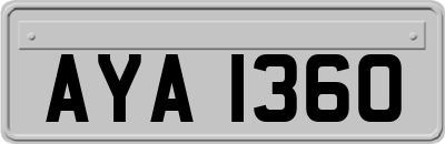 AYA1360